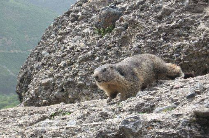 Location de vacances - Gîte à Saint-Crepin