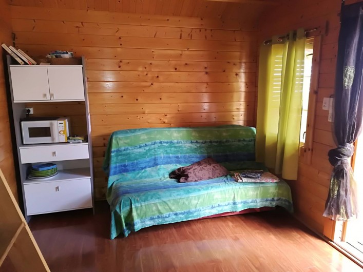 Location de vacances - Chalet à La Saline-Les-Bains - pièce à vivre aménager d'un canapé lit et des roman sont à disposition.