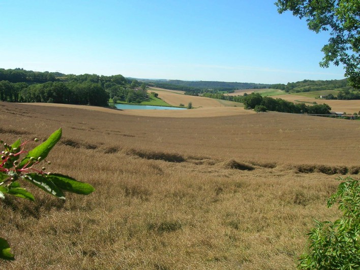 Location de vacances - Maison - Villa à Saint-Julien-du-Puy