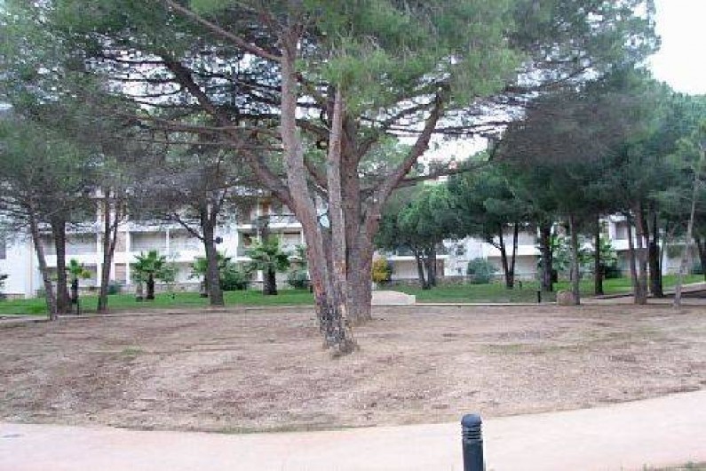 Location de vacances - Appartement à Calvi