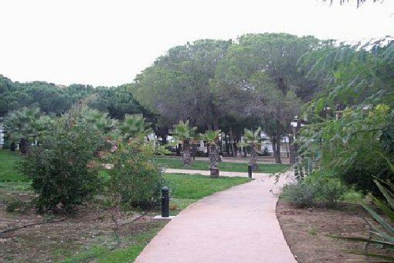 Location de vacances - Appartement à Calvi