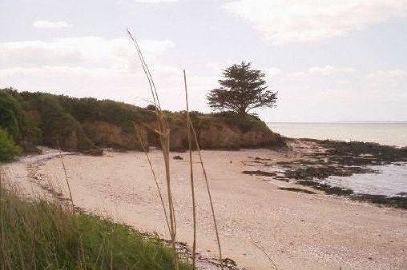 Location de vacances - Gîte à Pénestin