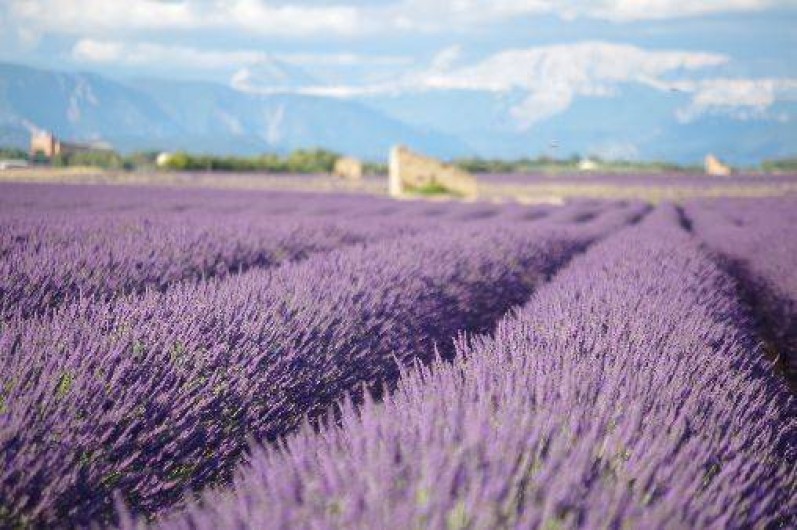 Location de vacances - Villa à Villeneuve