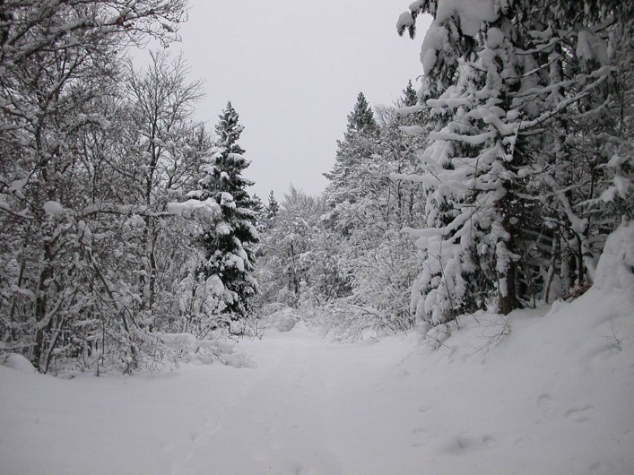 Location de vacances - Gîte à Songieu