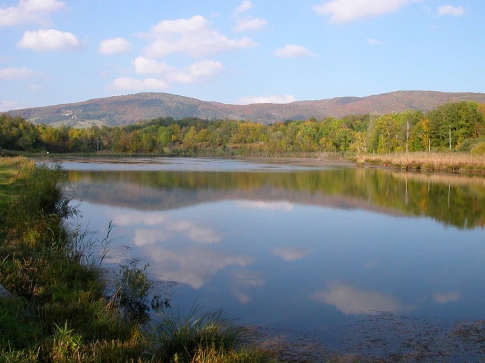 Location de vacances - Gîte à Songieu