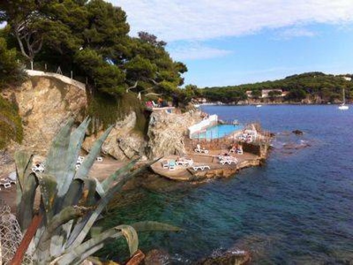 Location de vacances - Villa à Hyères - Piscine d'été - Port du Niel