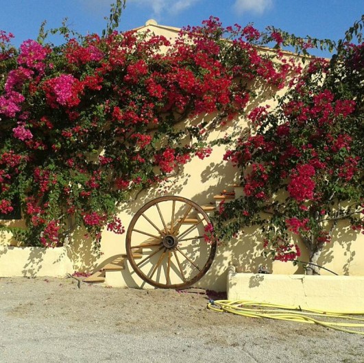 Location de vacances - Chambre d'hôtes à Capdepera