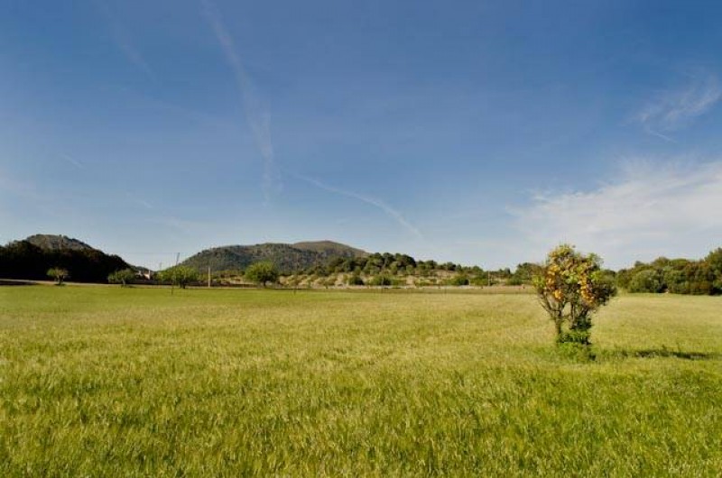 Location de vacances - Chambre d'hôtes à Capdepera