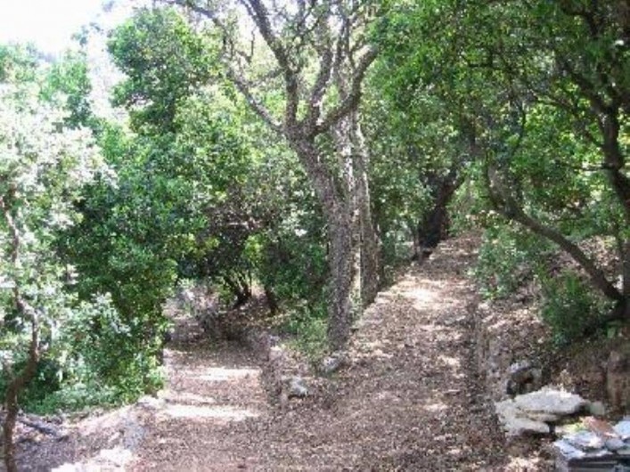Location de vacances - Villa à Les Issambres - accès jeux de boules