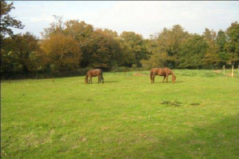 Location de vacances - Gîte à Redon