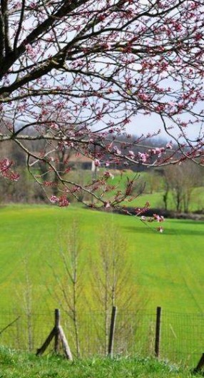 Location de vacances - Gîte à Pailloles - VUE SUR LA CAMPAGNE ENVIRONNANTE