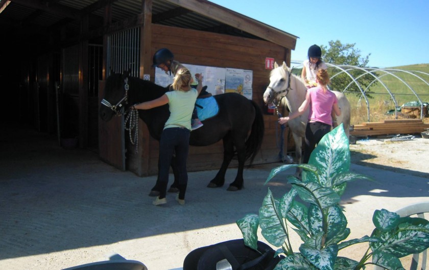 Location de vacances - Gîte à Pailloles - PONEY CLUB A PROXIMITÉ COURS ET BALLADE