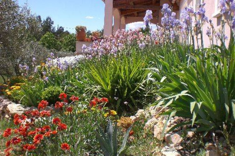Location de vacances - Villa à Trans-en-Provence