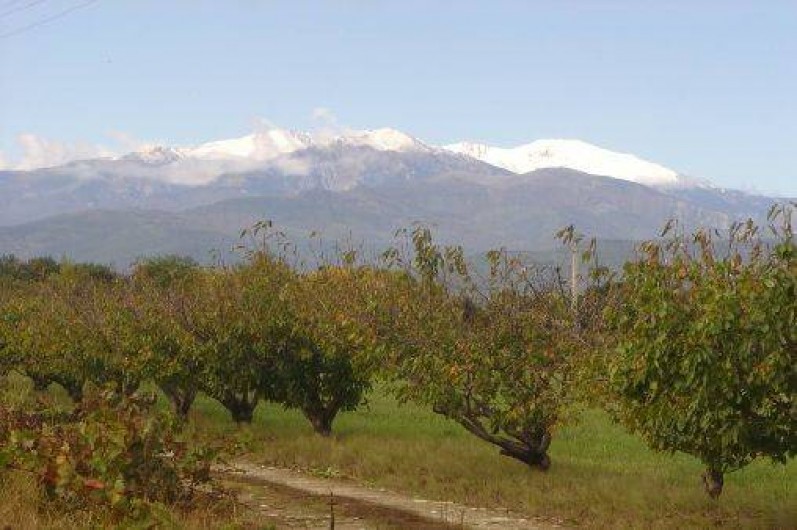 Location de vacances - Maison - Villa à Saint-Jean-Pla-de-Corts