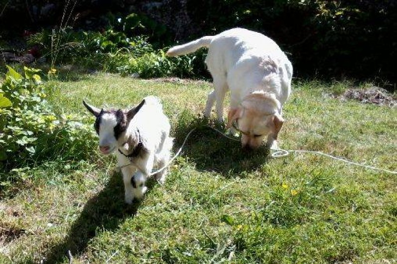 Location de vacances - Gîte à Châteauneuf-Val-Saint-Donat