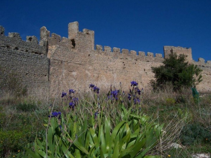 Location de vacances - Gîte à Montpeyroux - mur d'enceinte du château fort