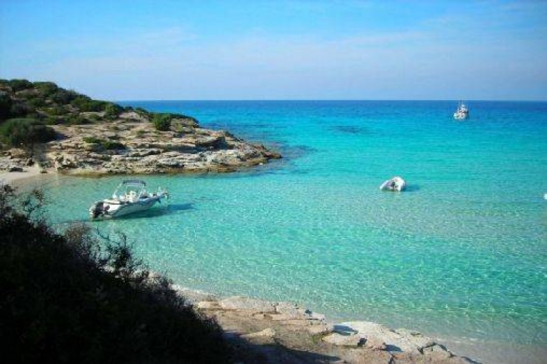 Location de vacances - Appartement à Oletta