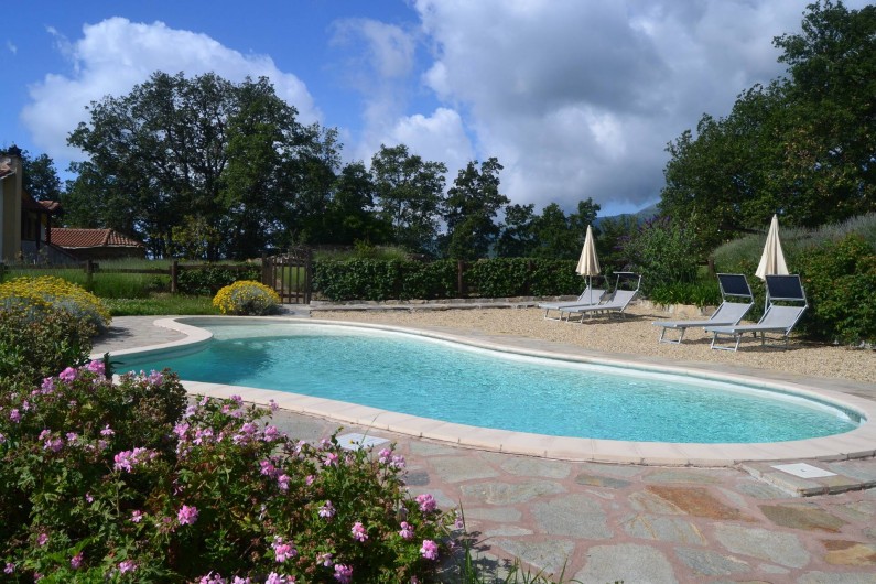 Location de vacances - Gîte à Vasia - la piscine a forme libre 40 m. carrè et avec petite plage pour les enfants
