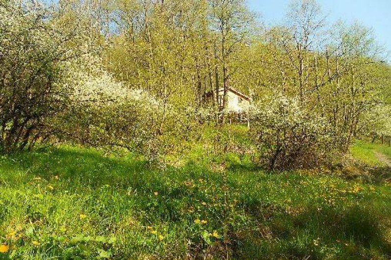 Location de vacances - Cabane dans les arbres à Grandfontaine - Paysage du site de cabanes au printemps