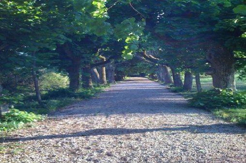 Location de vacances - Maison - Villa à Dijon - Allée de tilleuls