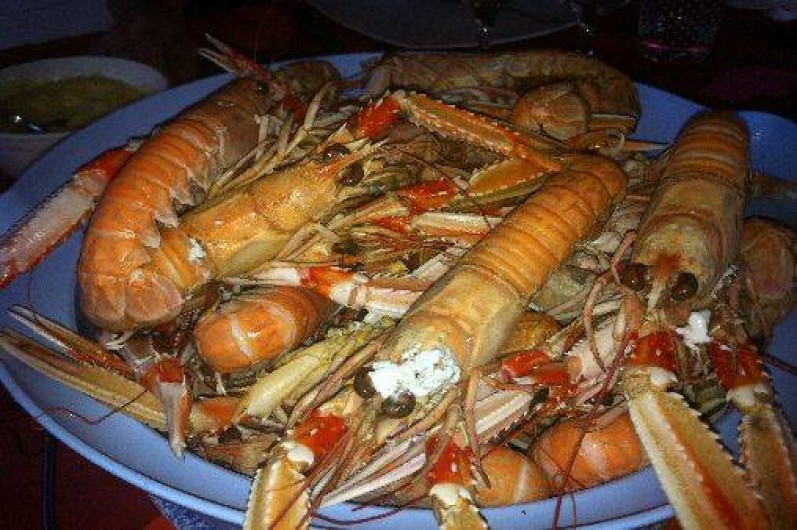 Location de vacances - Maison - Villa à Saint-Pierre-d'Oléron