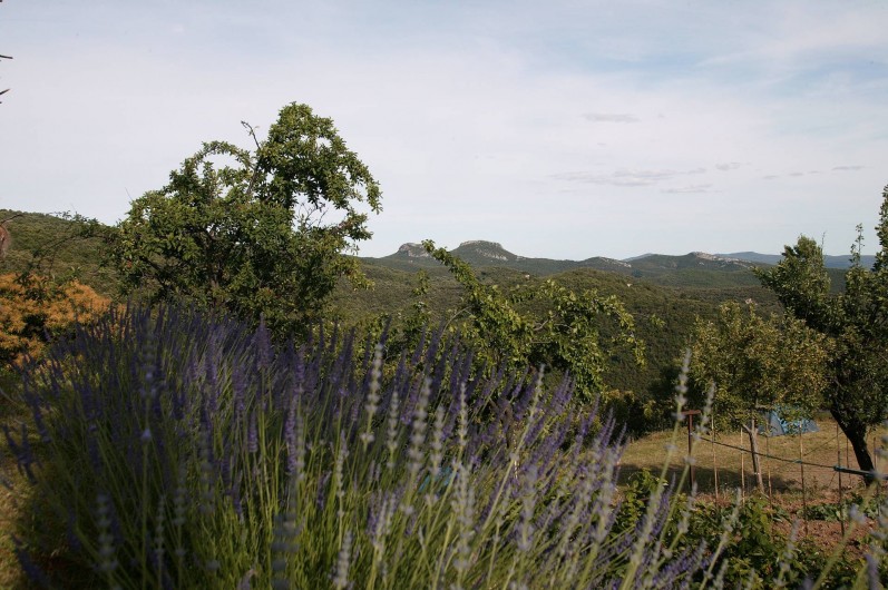 Location de vacances - Gîte à Cros - Vue depuis la piscine