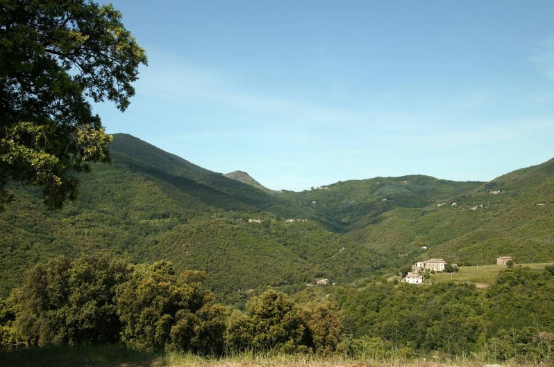 Location de vacances - Gîte à Cros - Vue depuis la terrasse