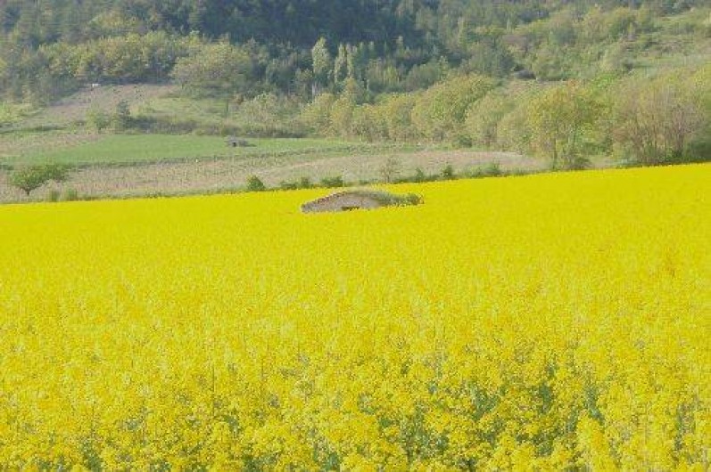 Location de vacances - Villa à Die