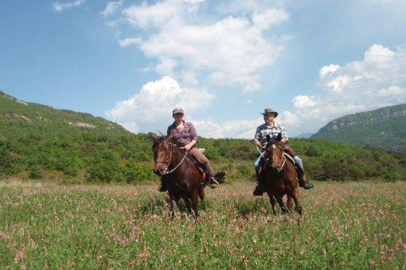 Location de vacances - Villa à Die