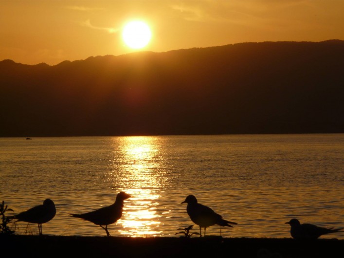 Location de vacances - Chalet à Excenevex