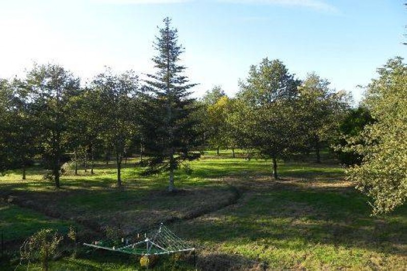 Location de vacances - Chalet à Souvigny-en-Sologne