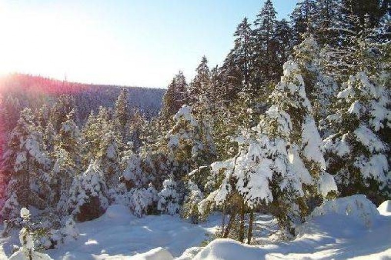 Location de vacances - Gîte à Gérardmer