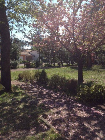 Location de vacances - Villa à Capbreton