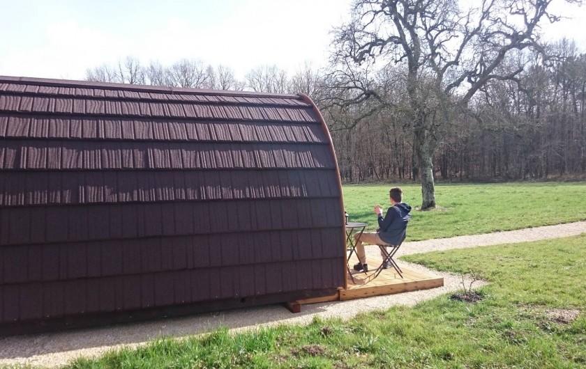 Location de vacances - Insolite à La Chapelle-Blanche-Saint-Martin - Cabane Forestière vue sur le parc