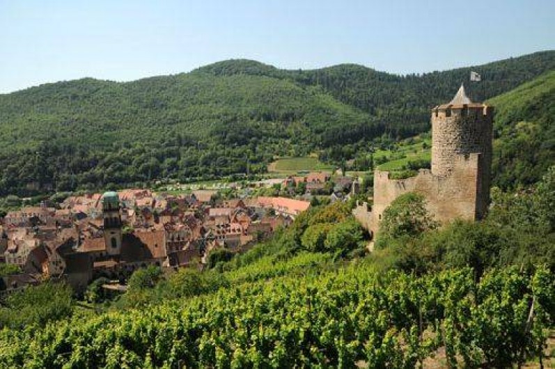 Location de vacances - Maison - Villa à Kaysersberg