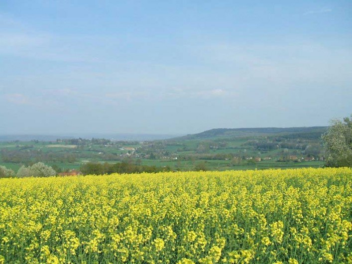 Location de vacances - Gîte à Curgy