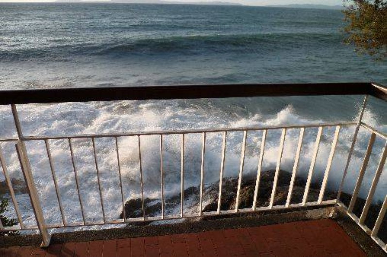 Location de vacances - Villa à Le Lavandou