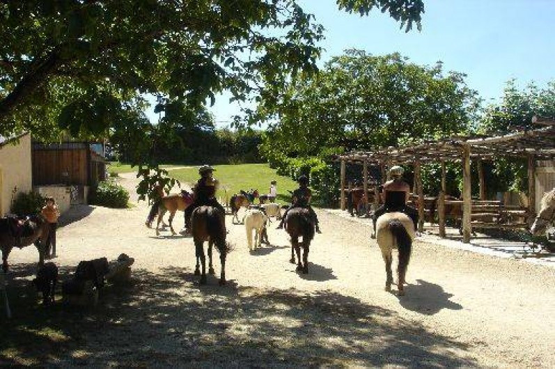 Location de vacances - Gîte à Saint-Cyprien