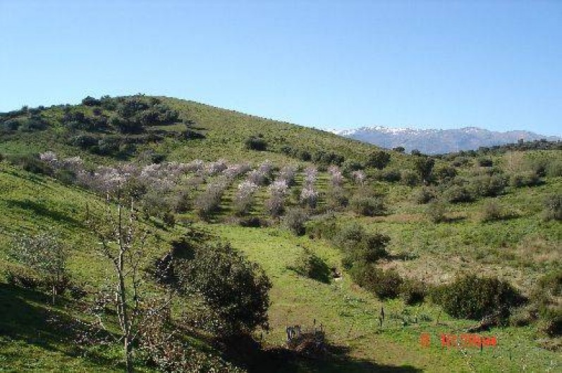 Location de vacances - Gîte à Saint-Florent