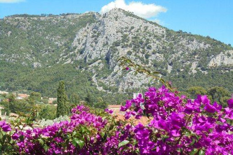 Location de vacances - Maison - Villa à Toulon