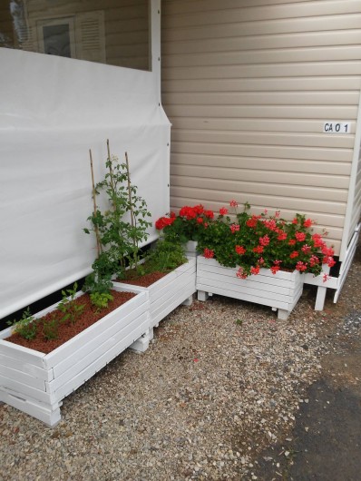 Location de vacances - Camping à Vias - herbes aromatiques  pour vos salades!