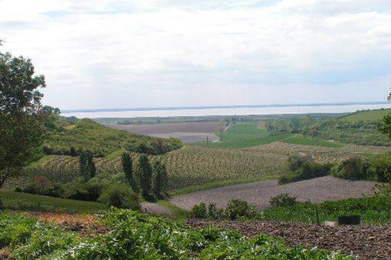 Location de vacances - Maison - Villa à Saint-Fort-sur-Gironde