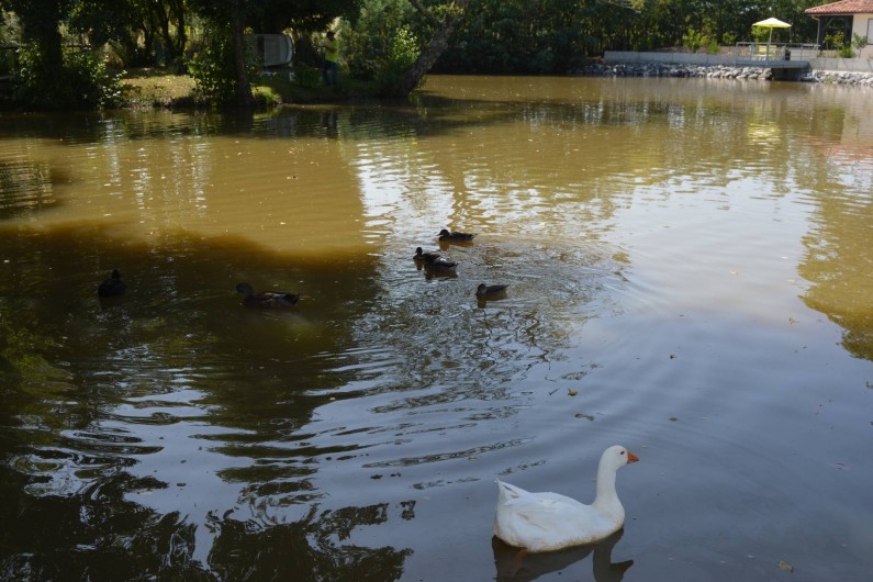Location de vacances - Studio à Saint-Geours-de-Maremne
