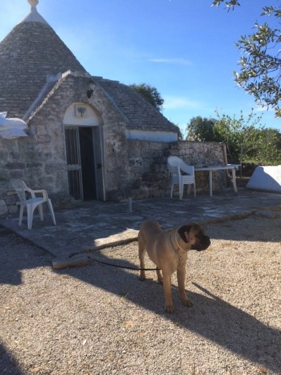 Location de vacances - Mas à Ceglie Messapica - Trullo Salice Maison de vacances en Pouille