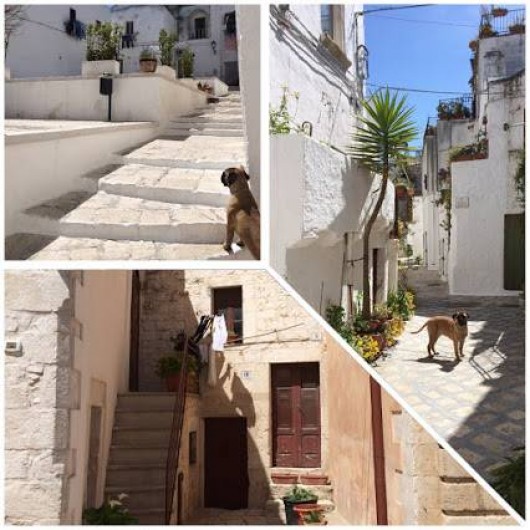 Location de vacances - Mas à Ceglie Messapica - Ceglie Messapica