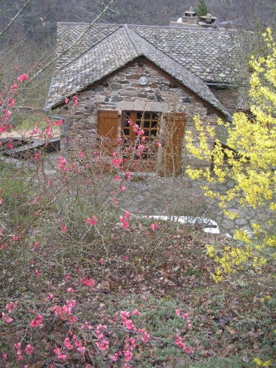 Location de vacances - Gîte à Saint-Victor-et-Melvieu - entrée du haut au printemps