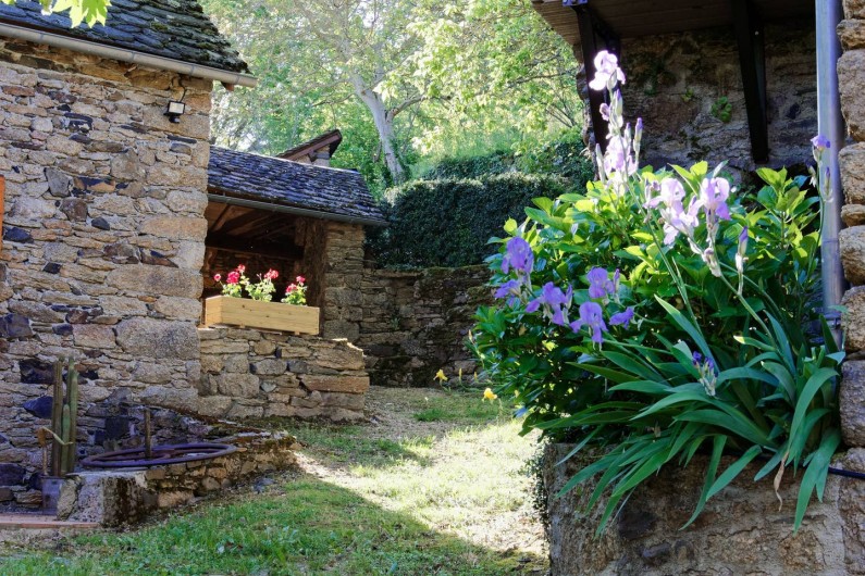 Location de vacances - Gîte à Saint-Victor-et-Melvieu - fleurs de juillet devant chambre 2
