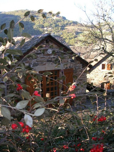 Location de vacances - Gîte à Saint-Victor-et-Melvieu - entrée du haut en hiver
