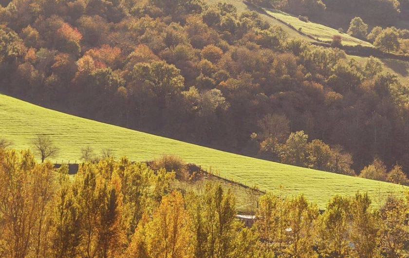 Location de vacances - Gîte à Saint-Victor-et-Melvieu