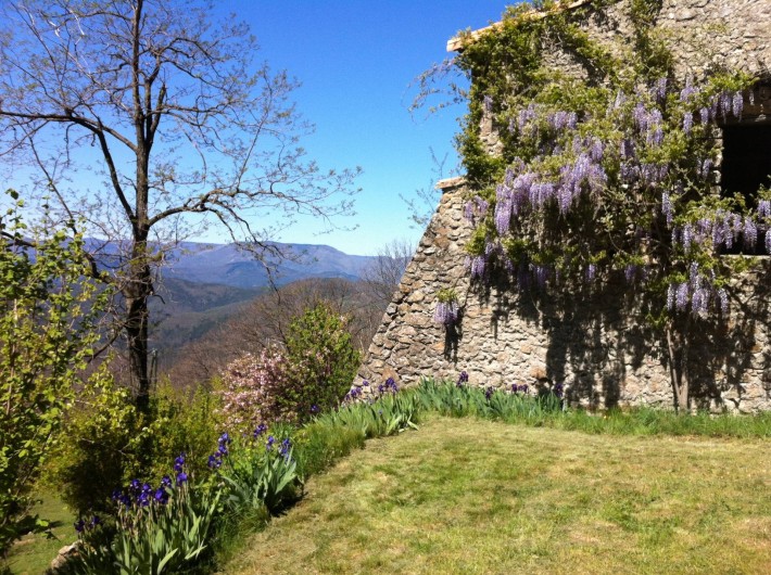 Location de vacances - Mas à Saint-Roman-de-Codières - Côté jardin au printemps